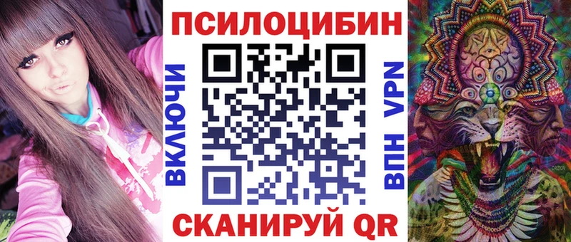 цены Луховицы Псилоцибиновые грибы Psilocybe