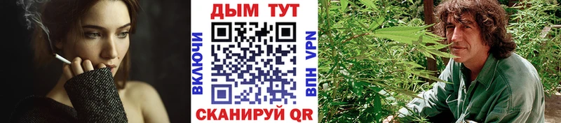 дарнет шоп  Луховицы  Бошки марихуана конопля 